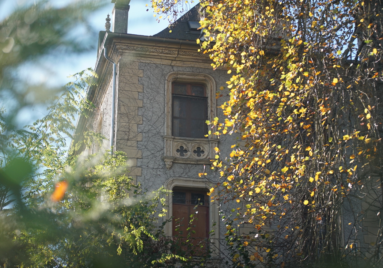 DSC01260