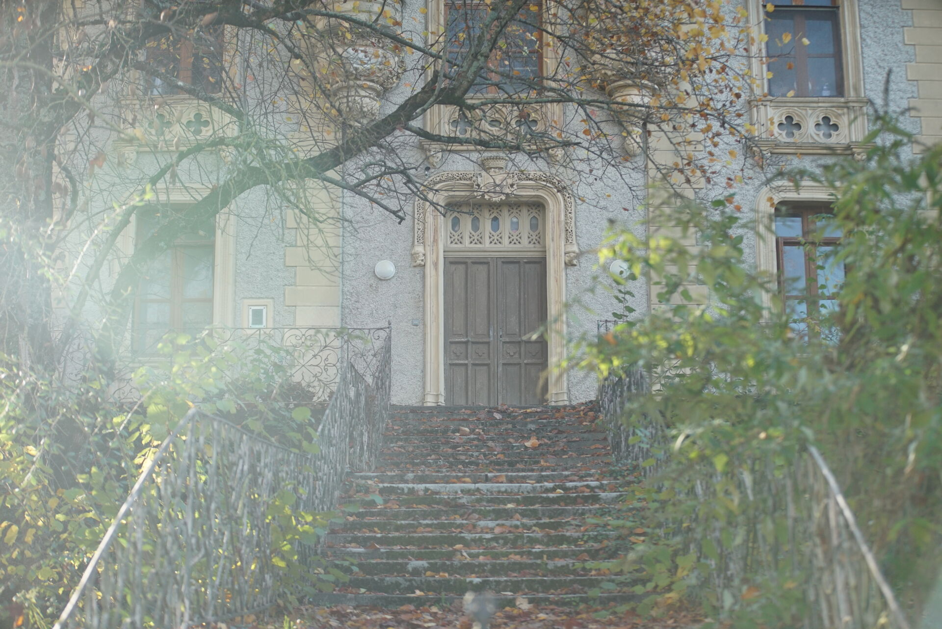 DSC01247