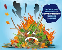 DECHET VERT FLAMME