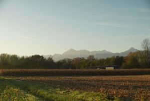 DSC01118