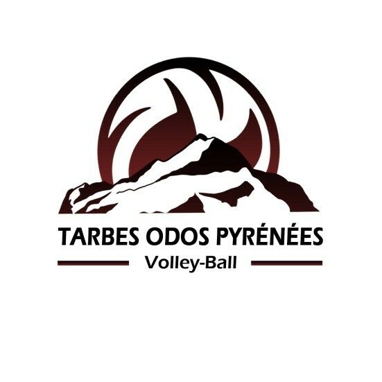 logo volley logo volley
